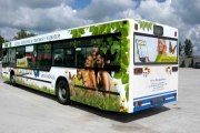 autobus6