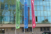 festiwal