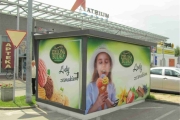 lody zielona budka
