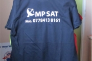 sat