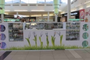 oświeltenie led galeria